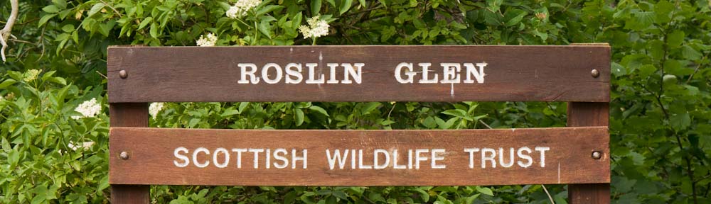 Scottish Wildlife Trust Lothians Group