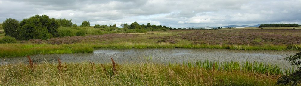Scottish Wildlife Trust Lothians Group