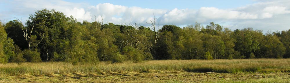 Scottish Wildlife Trust Lothians Group