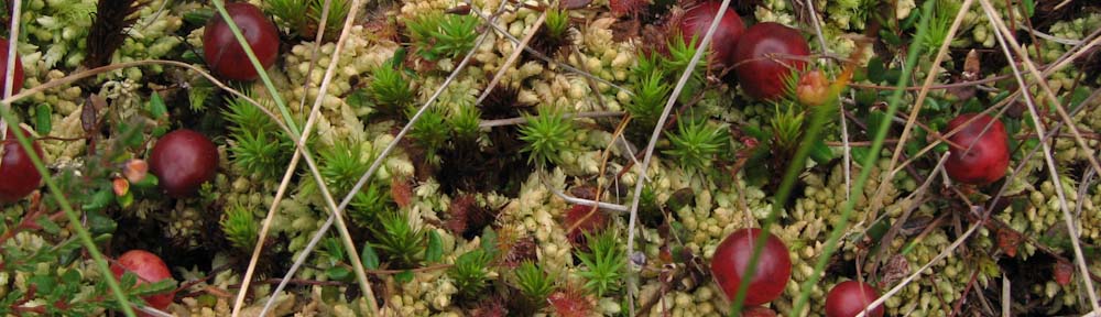 Scottish Wildlife Trust Lothians Group