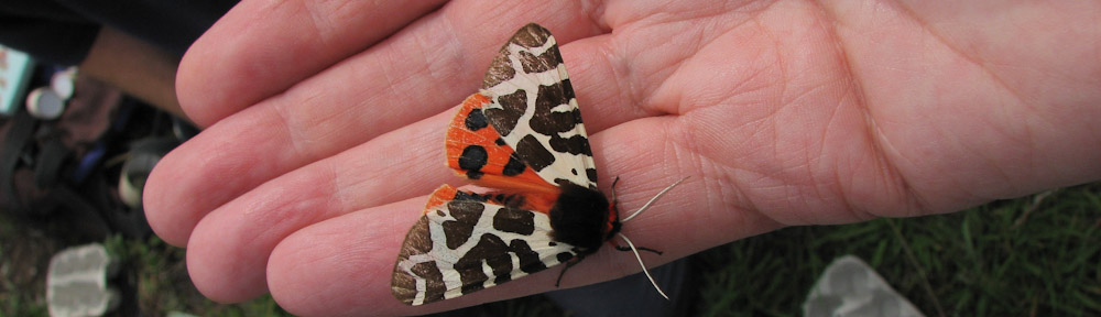 Scottish Wildlife Trust Lothians Group
