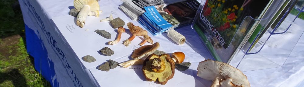 Scottish Wildlife Trust Lothians Group