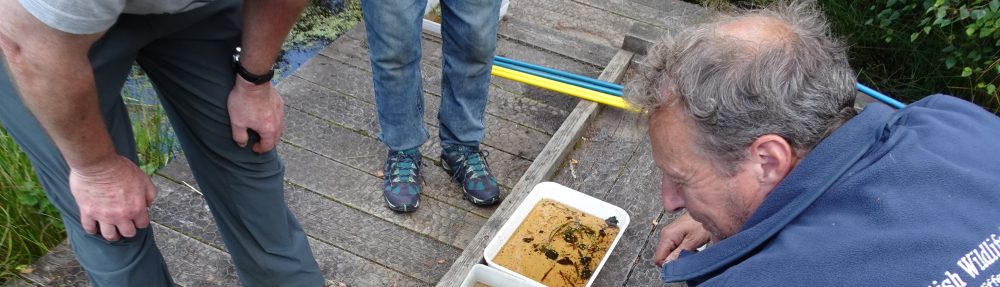 Scottish Wildlife Trust Lothians Group